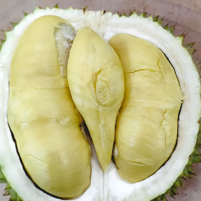 Durian khas gunungwungkal